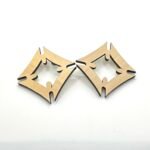 fihankra (house/compound) earring b